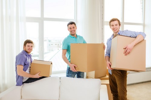 Loading and unloading assistance for local removals and deliveries